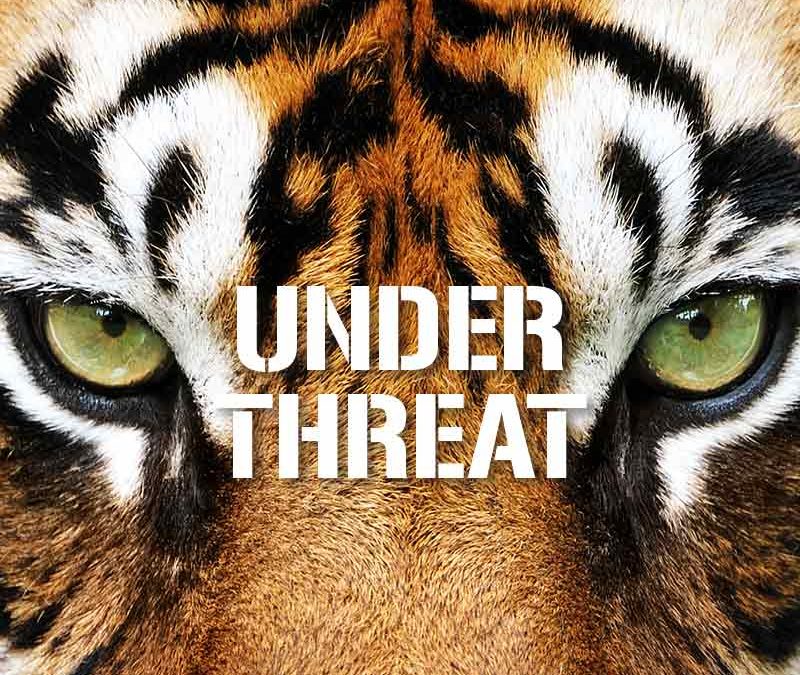 Under Threat – 2019